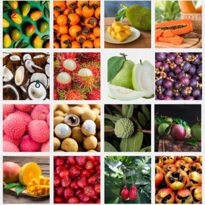 Popular Asian Fruits