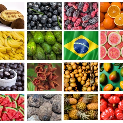 brazilian fruit