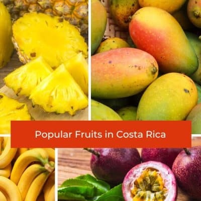 Costa Rican Fruits