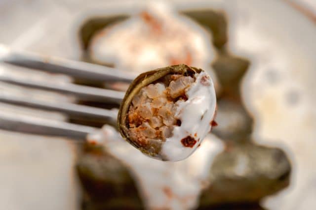 Dolmas with meat stuffing