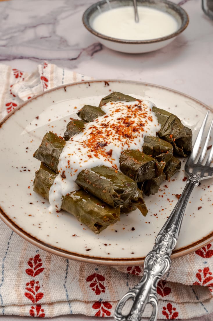 Dolmas with meat stuffing