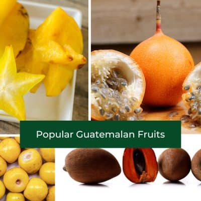 Guatemalan Fruits