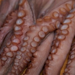 Pulpo a'la Gallega