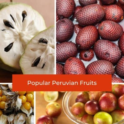 Peruvian Fruits