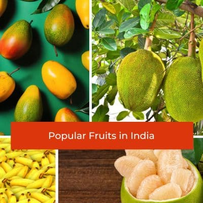 Popular Fruits in India