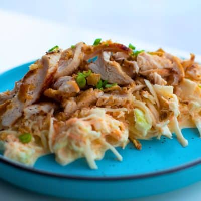 Shredded Chicken with Coleslaw